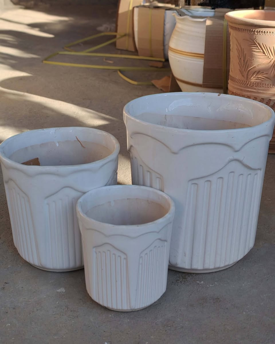 متوفرر 
مجمع رفيف الزيدي  
نبات طبيعي... سنادين ..  بتموس ... دوارق  عصا موسى 
للحجز والاستفسار مراسلة الصفحة 
يتوفر خدمة توصيل 
بابل ألمحاويل الشارع العام مقابيل حي المشتل


**إذا كنت صاحب هذا الإعلان وتريد حذفه لأي سبب، رجاءا أرسل رسالة إلى الدعم الفني**