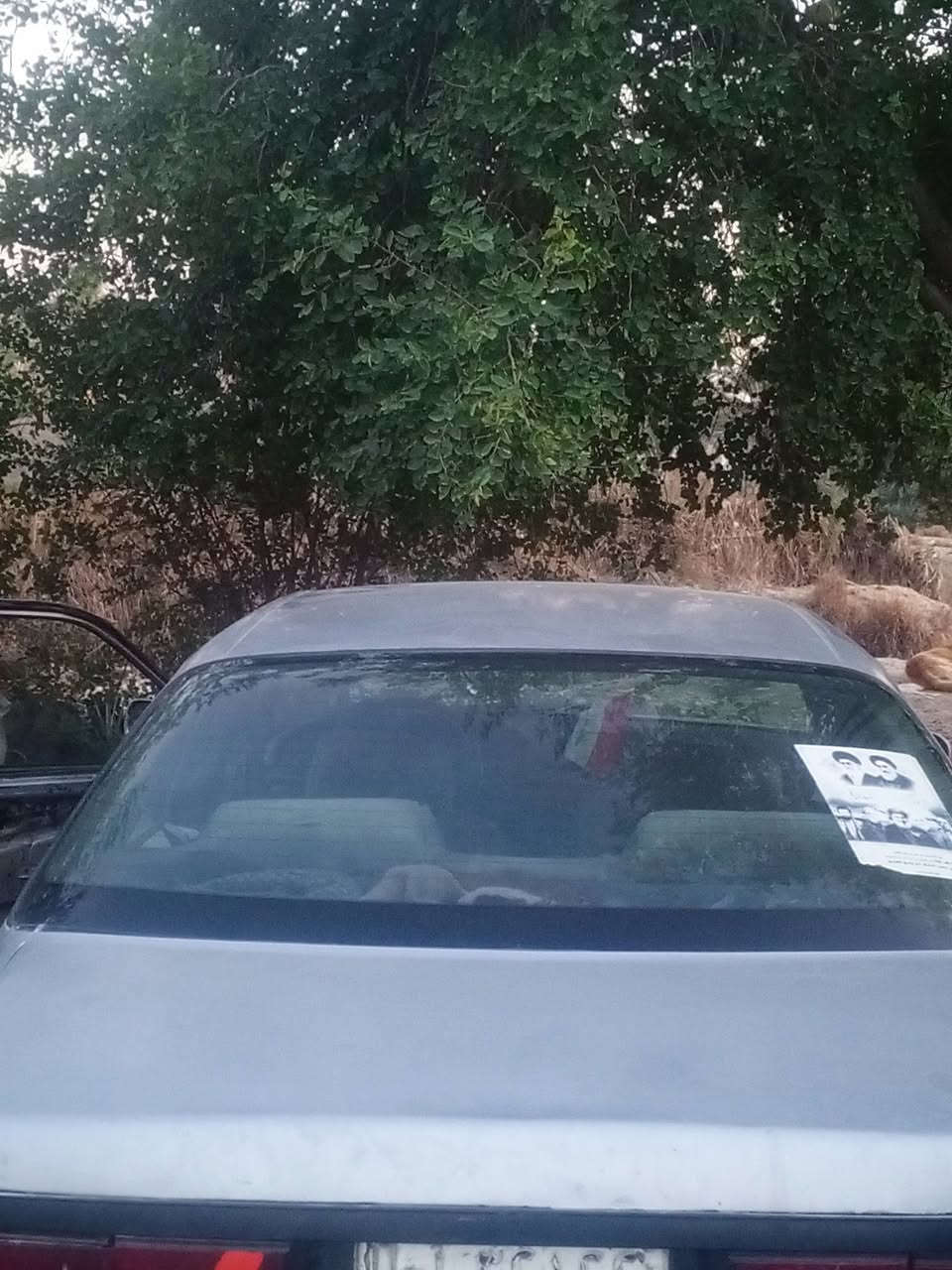 السلام عليكم ابو انس للبيع او مراوس حسب القناعه 24 ورقه ابيها مجال للطيبين موديل 95 في الثانويه 28 ❤️❤️ ***********
