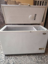 مجمدة • شغالة • كربلاء