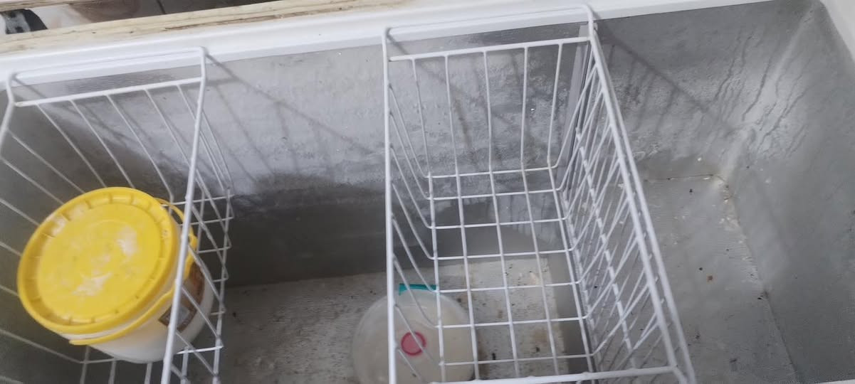 السلام عليكم مجمدة للبيع نظيفة وحجمها زين للتواصل خاص


**إذا كنت صاحب هذا الإعلان وتريد حذفه لأي سبب، رجاءا أرسل رسالة إلى الدعم الفني**