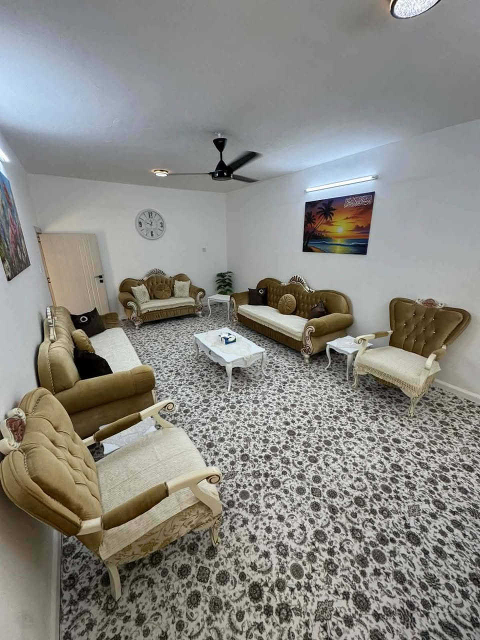 تخم عدد 3ملكي اخو جديد مال بيت يوجد لدينا توصيل شراي يدخل خاص اويتصل ***********❤️🥰🥀🌹 كركوك, العراق
