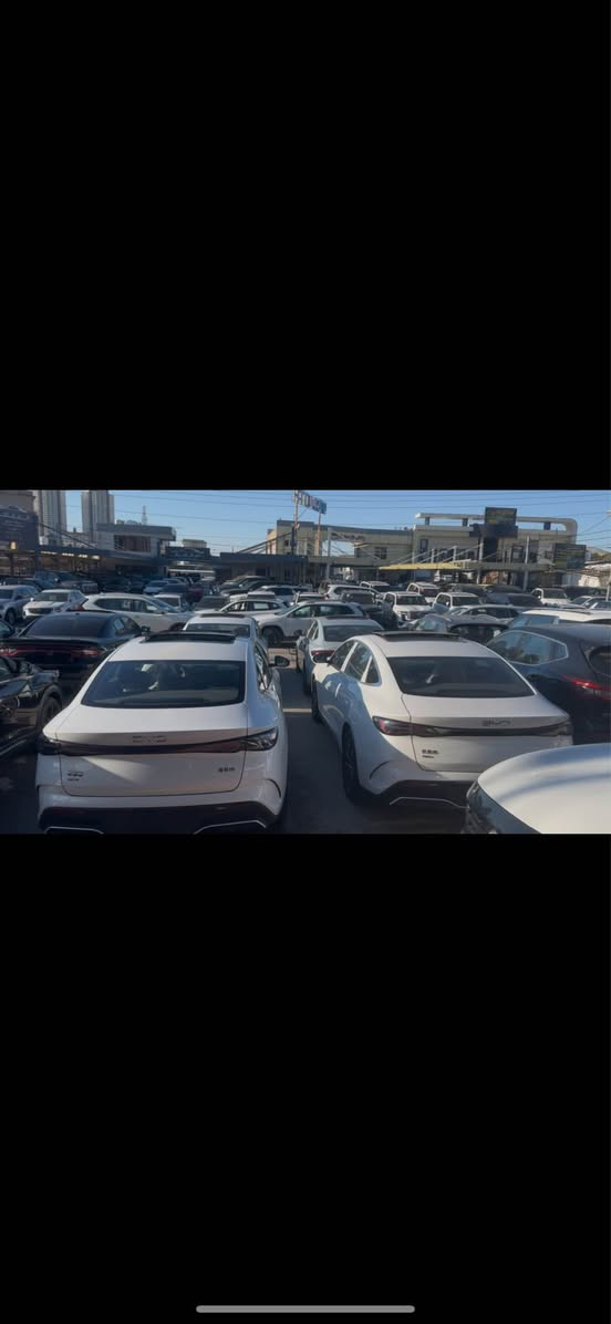 سيل 06 فول
كين L فول
به رده سته عه ده ديكى كه م ماوه
*********** السليمانية, العراق
