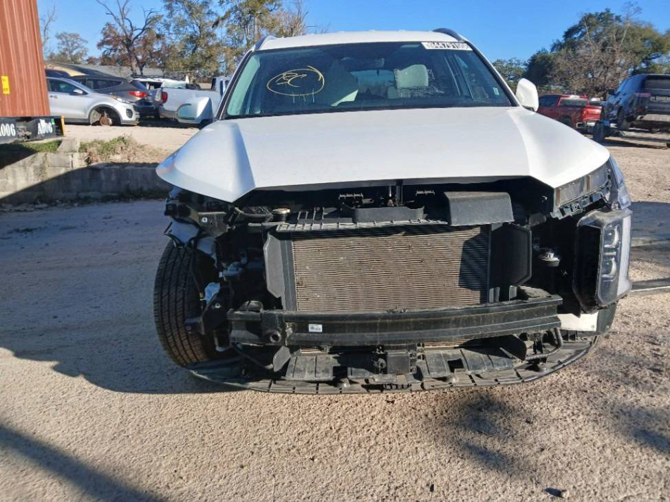 أللهم صلى على محمد وآل محمد 🧿 
جانب من صور تخزين الشركه 
ألف مبروك لصاحب السياره تستاهل كل خير بالتوفيق 🌹
طريق السلامه يارب 🙏 
مكتب الحسناوي لتجارة السيارات الامريكيه والكنديه عنوان بابل قضاء الكفل مجاور دائرة أحوال الكفل مقابل صيدليه الشهد 🌹 
*********** وات ساب 🇮🇶
