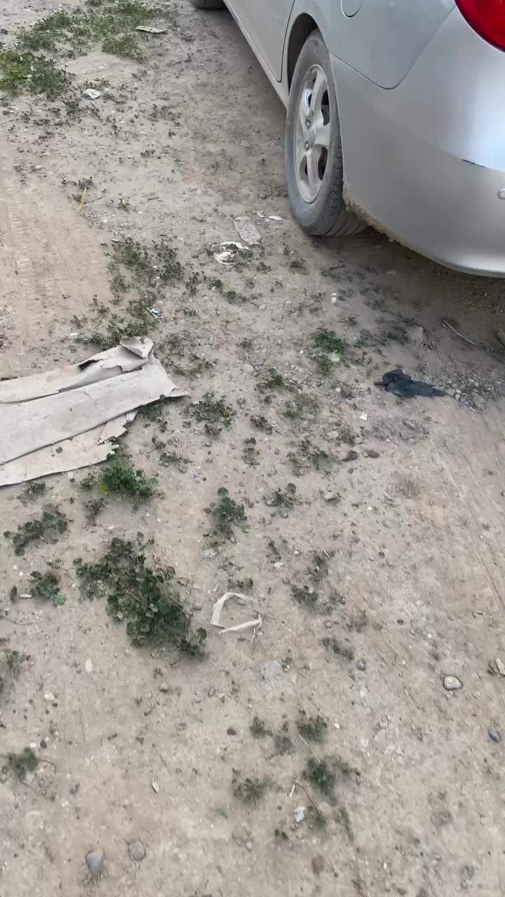 السلام عليكم
للبيع عربانه حداديه طول 12.30 وارتفاع 1.75  دناكير 14 الماني السعر 70 وبيه مجال ***********
