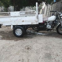 ستوته • موديل 14 • اوراق اصولي