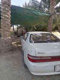 شيزر • ١٩٩٢ • نجف