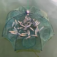 جوبيا • شبكة عنكبوتية • صيد أسماك