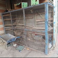 قفص حديد • ام العصافير