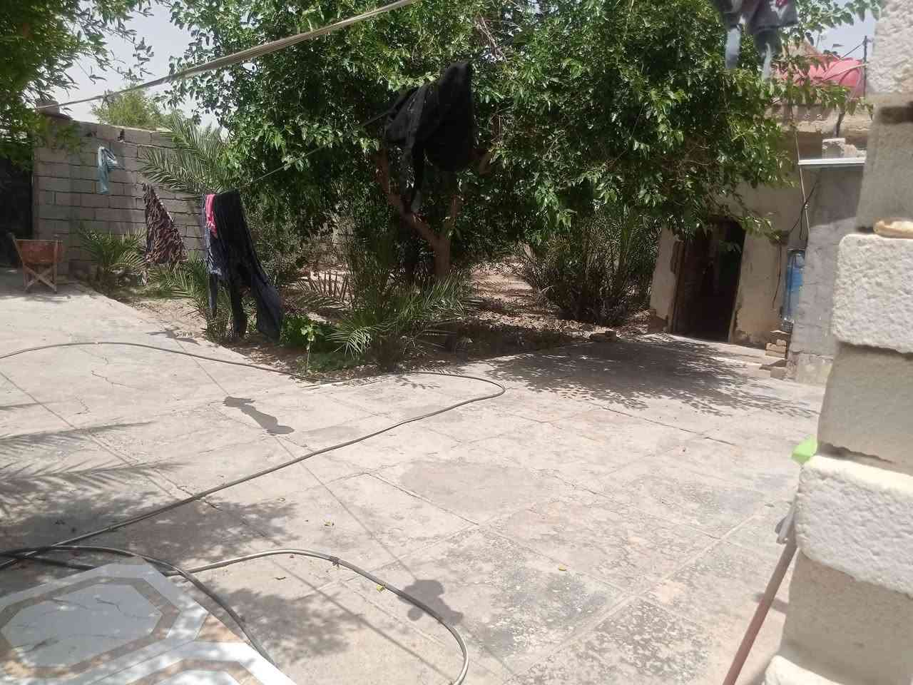 سلام عليكم بيت للبيع في حي الحكيم الأولى مساحةالبيت 600متر متوفر جميع الخدمات  يتكون البيت من ديوانيه خارجيه هيه وصحياته ستقبال 10متر+غرف نوم 3+مطبخ+حمام داخلي +صحيات البيت خارجيه بستان كامل في البيت مستعجل على البيع كلش تواصل على هذا رقم بي واتساب او تتصل على رقم او ماسنجر
***********
