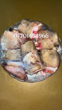عجل • نظيف • ذايبه