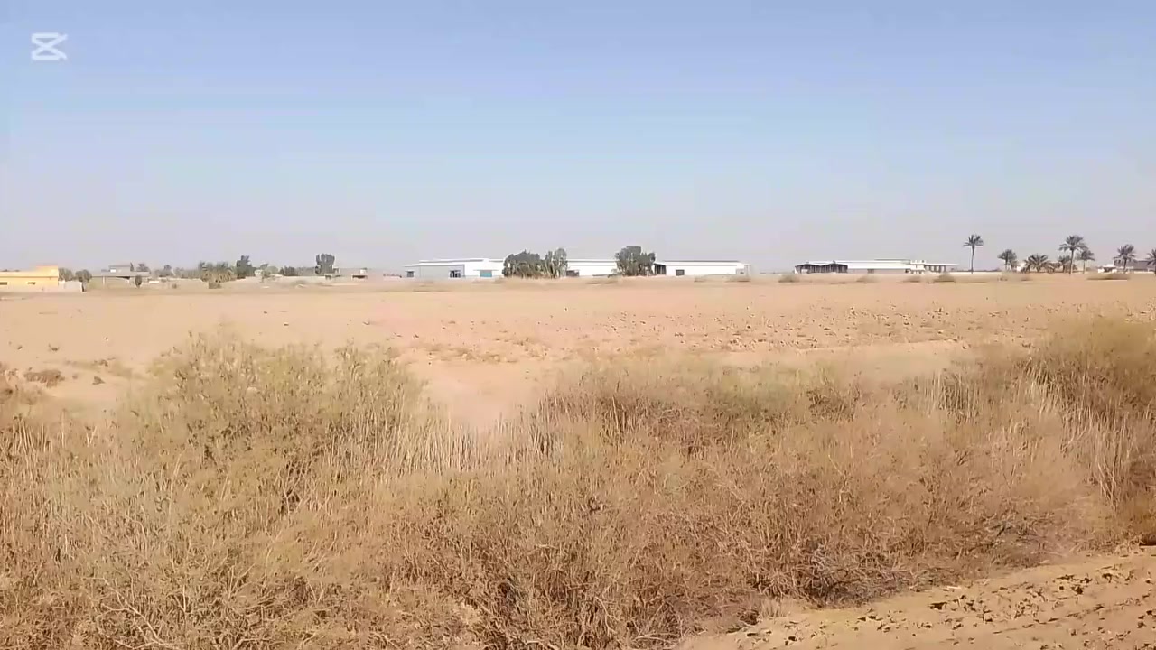 السلام عليكم ارض زراعيه للبيع سند 25 قطعه ثانيه في الطيفيه الدولي جسر الخامس مساحه 21دونم بظهرها قطعه ثانيه مساحه 32دونم سند 25 واجهيه ع التبليط الخدمي 125متر والنزال 700 الارض بأسمي مباشر تحويل ع طابو المحموديه تصلح استثمار مقابيل شركة نيم المتحده السعر 100للدونم الواحد للاتصال *********** /***********
