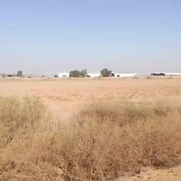 الطيفيه الدولي جسر الخامس • سند ٢٥ • ٢١دونم ٣٢دونم