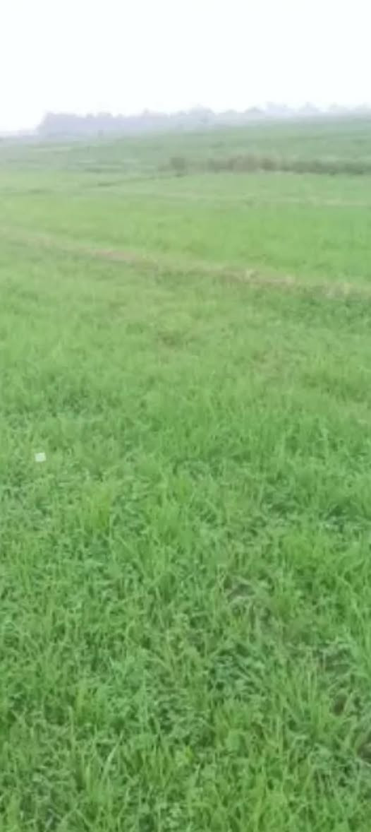 أرض زراعية 13 دونم واجهة 80 والنزال على طولها قضاء الحي  منطقة السايبة الشارع الي خلف الجنابي 
هاتف ***********
