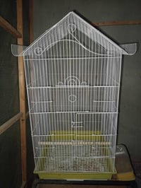 مكاني سنيه • قفص 60×40 • كوكتيل وطيور حب