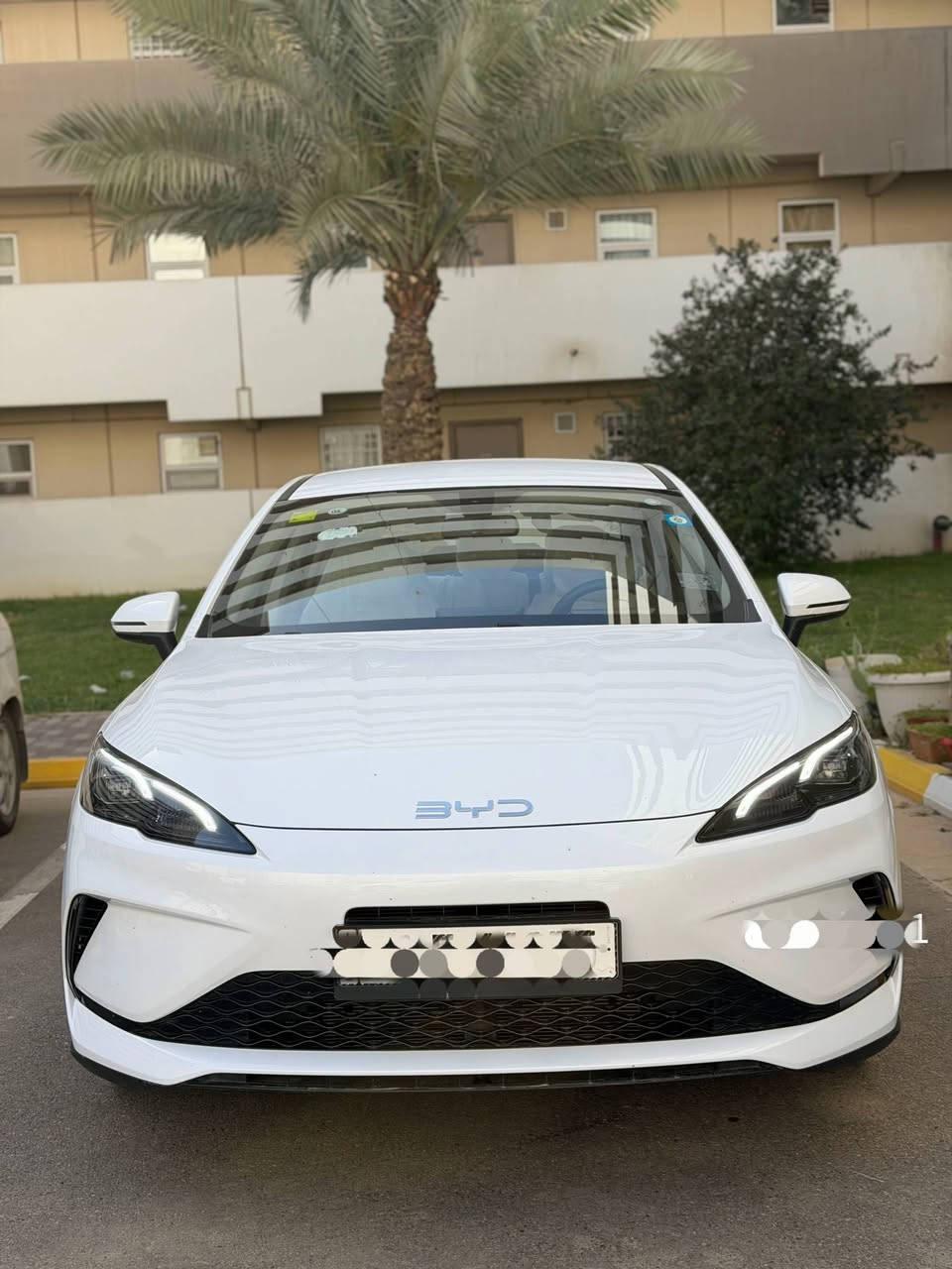 سلام عليكم 
سيل 5 
بيع سريع 
Byd 
موديل 2025 
ابوضع الوكاله 
زيرو ماشيه 7 تالاف وشويه اجمالي 
2 وشويه محرك 
جديده 
مكاني بغداد رقم بغداد بسمي تحويل ابنفس اليوم 
بسعر 19 مليون


**إذا كنت صاحب هذا الإعلان وتريد حذفه لأي سبب، رجاءا أرسل رسالة إلى الدعم الفني**
