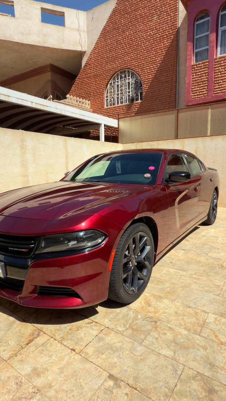سلام عليكم للبيع جارجر النداء الاخير 2023 مكفولة كفالة عامة السيارة تقرير تعمل و تسير مواصفات sxt بلاك توب لون مميز رقم بغداد مداور ثاني يوم تخم تاير جديد السيارة جاهزة بدون اي نقص مكاني ناصرية مركز السعر 265 
للأستفسار ***********
