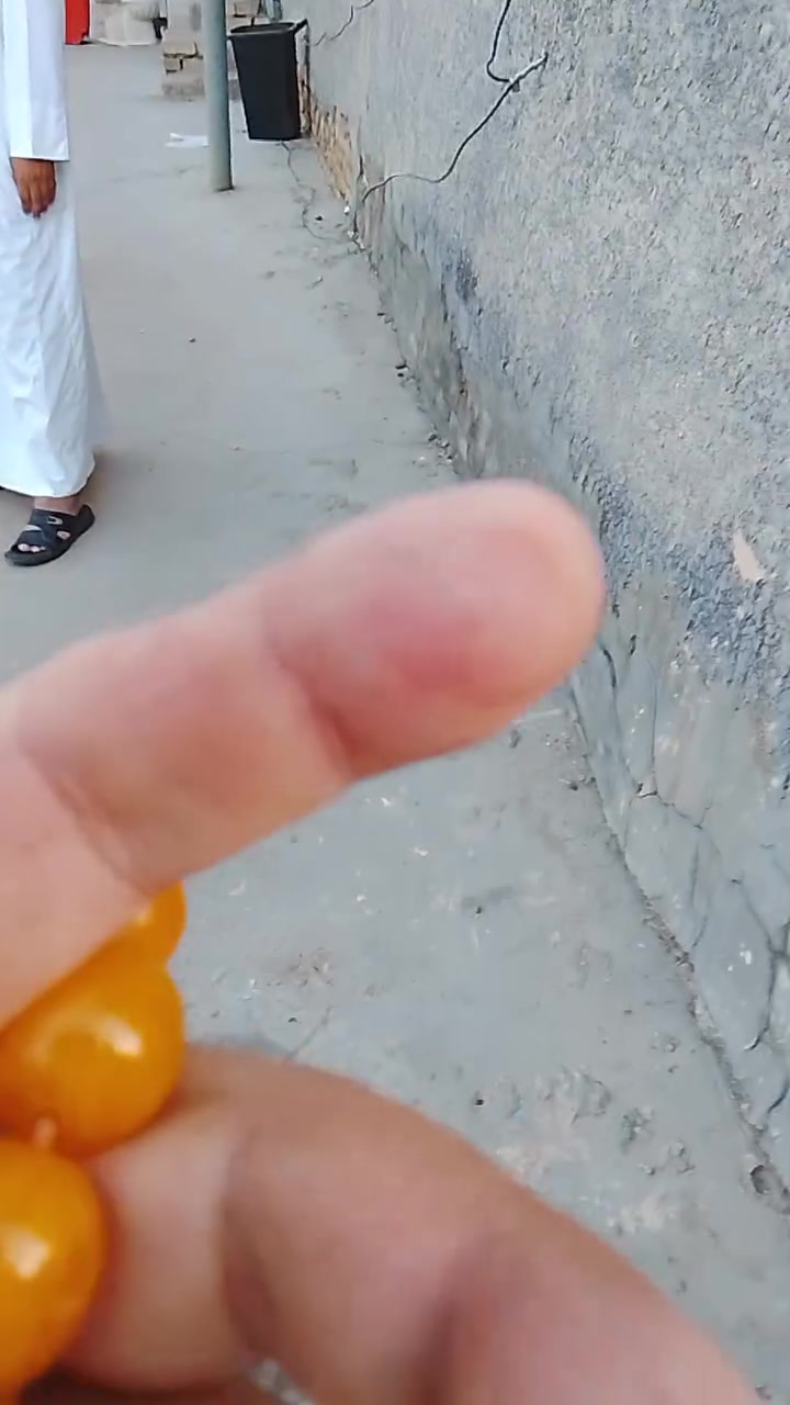 مسباح الماني امعرك
33  حبة محمل شيوخ
عجبتك تعال خاص
مكلف بالبيع


**إذا كنت صاحب هذا الإعلان وتريد حذفه لأي سبب، رجاءا أرسل رسالة إلى الدعم الفني**