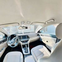 النترا ٢٠١٧ • وارد امريكي • بدون صبغ