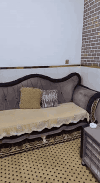 آلسَـِْ♡̨̐ـِْلامَ علـِْ♡̨̐ـِْيگمَ 
للبيع تخم 10 مقاعد 
مكانه الشرطه الخامسه 
سعر 350
ثنين كبار وحده صغيره وكراسي 2 
لتواصل 
***********
