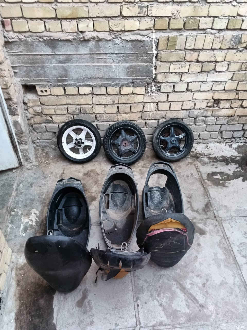 اسعار كله جوه للسوك عرض قوي عليهن يولد غراض فقط سكنس فحل نثيه شتريد خاص او واتساب كله جوه للسوك *********** كله عندي توصيل فقط لمكينه ماكدر اوصلها مكاني بغداد مدينة
