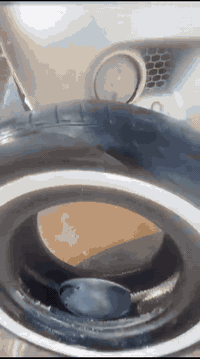 شباب بريجو البيع موديل 96سياره كامله من كلشي مكينه2710 كير اكسن مصبوغه...