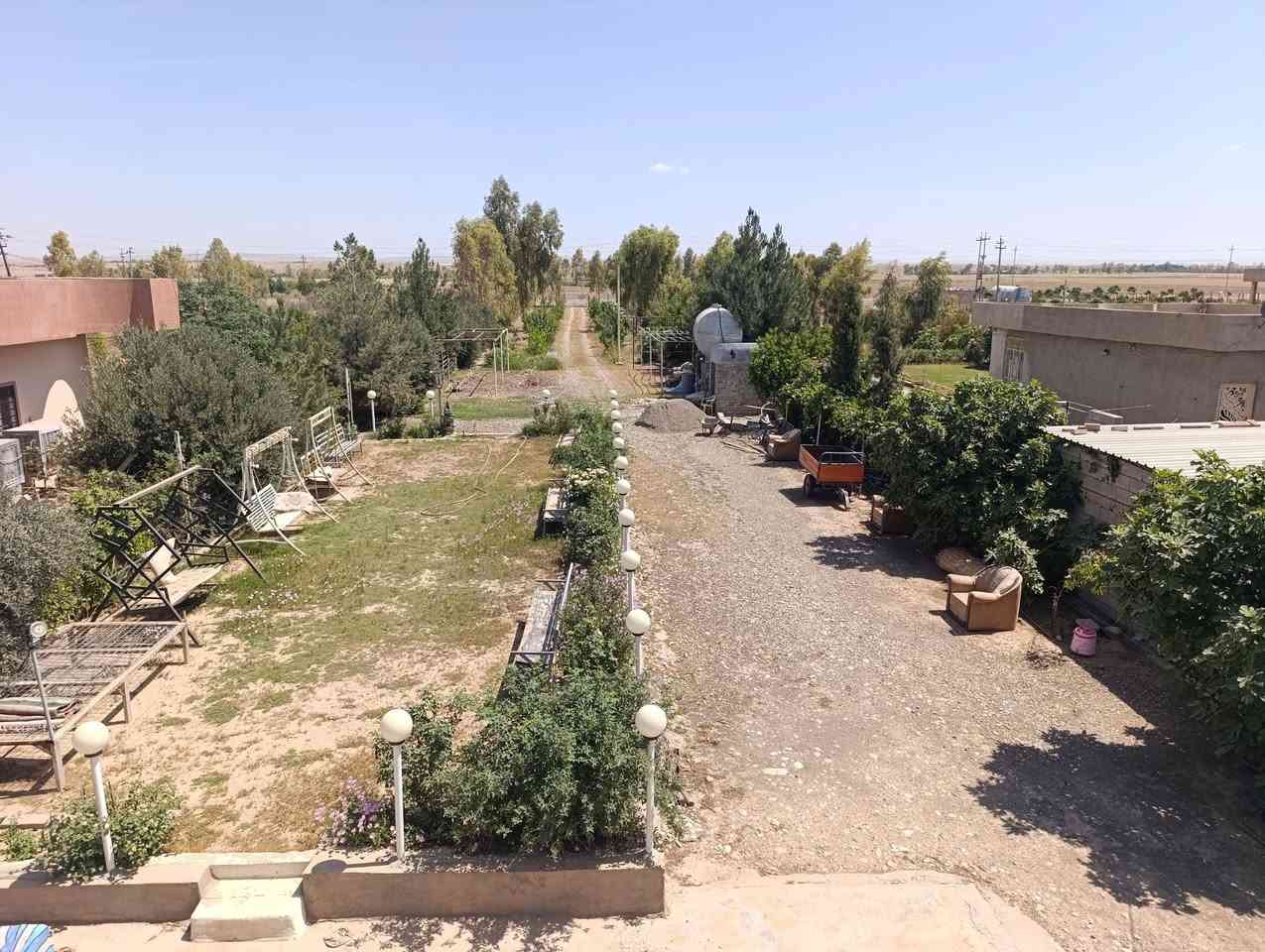 #مزرعة  للبيع طابو زراعية 🏠🏠🌴🌴 

#المساحة،، (دونم ونص) واجهة ع شارع عام

يتكون من غرفتين النوم  +.غرفة استقبال + هول +مطبخ+هول

#المزرعة كامل مسيجة وبيه حديقتين كبيرة  مع اشجار مثمرة زيتون +تين + رمان + مشمش + برتقال) 
مع كهرباء رئيسي + بير ماء + مكان تربية حيوانات

#العنوان،، (كركوك،ناحية ليلان،،قرب ماركيت ادريس اول مزرعة قبل تكية محمدية قريب ع سوك وماركيت )

#المكتب بخدمة زبائنه الكرام 🎄🎄
اللاستفسار اتصال ع ارقام مكتب جمال للعقار والمقاولات

 ***********📞واتساب

بۆ زانیاری زیاتر پەیوەندی بکەن بە ژمارە 
یان سەردانی ئۆفیسیمان بكةن 
ناونیشان :  📌که رکوک،،شورجة
 :ئيوةش دەتوانن مولکەکانتان بنیرن بێ به رامبه ر
📌 ناونیشانی تەواوی موڵکەکەت
🏡 چەن وێنەیەکی موڵکەکەت
💲 نرخی موڵکەکەت
للمزيد من المعلومات نرجو منكم زيارة مكتبنا🏦 
العنوان،مكتبنا،،شورجة مقابل حفته بازار
ملاحضة#عربي 
يمكنكم إرسال الاراضي والأملاك للأعلان عنه في صفحتنا بدون مقابل 
عنوان كامل للمُلك 📌
كم صورة من المُلك🏡
سعر المُلك💰 #ليلان #كركوك #جيمن #حصار #سقزلي #بردي #تركلان #داقواق #دوز #تازةعظيم #ديالي #شهربان #بغداد #مزارع
