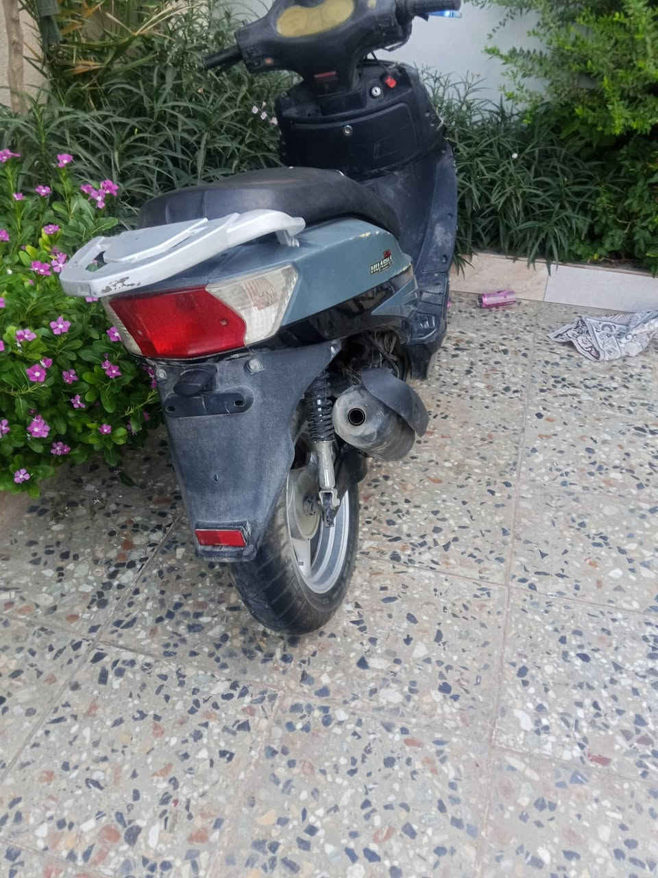 دراجه للبيع ياباني محرك مامفتوح الدراجه نكره سلف كلشي شغال بيه لايت اشاير سلف هورن بكلايت  موديل 23طالعه بل24دراجه حلوه مابيه اي نقص تايراته ويالته جدد السعر 300وبيه مجال قليل مكاني كربلاء كنطرت البيضة هذا رقمي ***********
