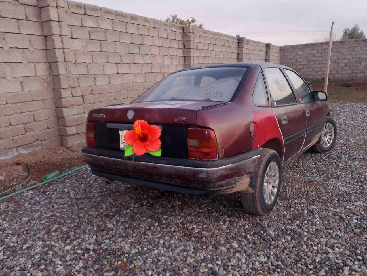 السلام عليكم... من رخصة الادمن
فكترا 92 للبيع (نقدا) السعر (32 وبيه مجال للطيبين)  

محرك 20 حورته كابريتر لا صرف ولا خربطه فول نشاط الحمدلله خلصت من الايرفلو والنوزلات 

رقم صلاح الدين الماني  سنويه ساقطه من 2019 الشرعي من شكرا شرط تحويل ووكاله 

كير ومحرك گصه جديد قبل يومين شديته.... 

حداديه وتواير وكهرباء كله جديد لايت زنون فول ماكو لا ضربه ولا صبغ فقط خياس هلالات ومبدل شغل شوف العين 

للجنايه يعوزه فقط صبغ لان مقحله اكيد صارله 34 سنه بالشارع وجام امامي تبدل 

*********** 

 ***********
