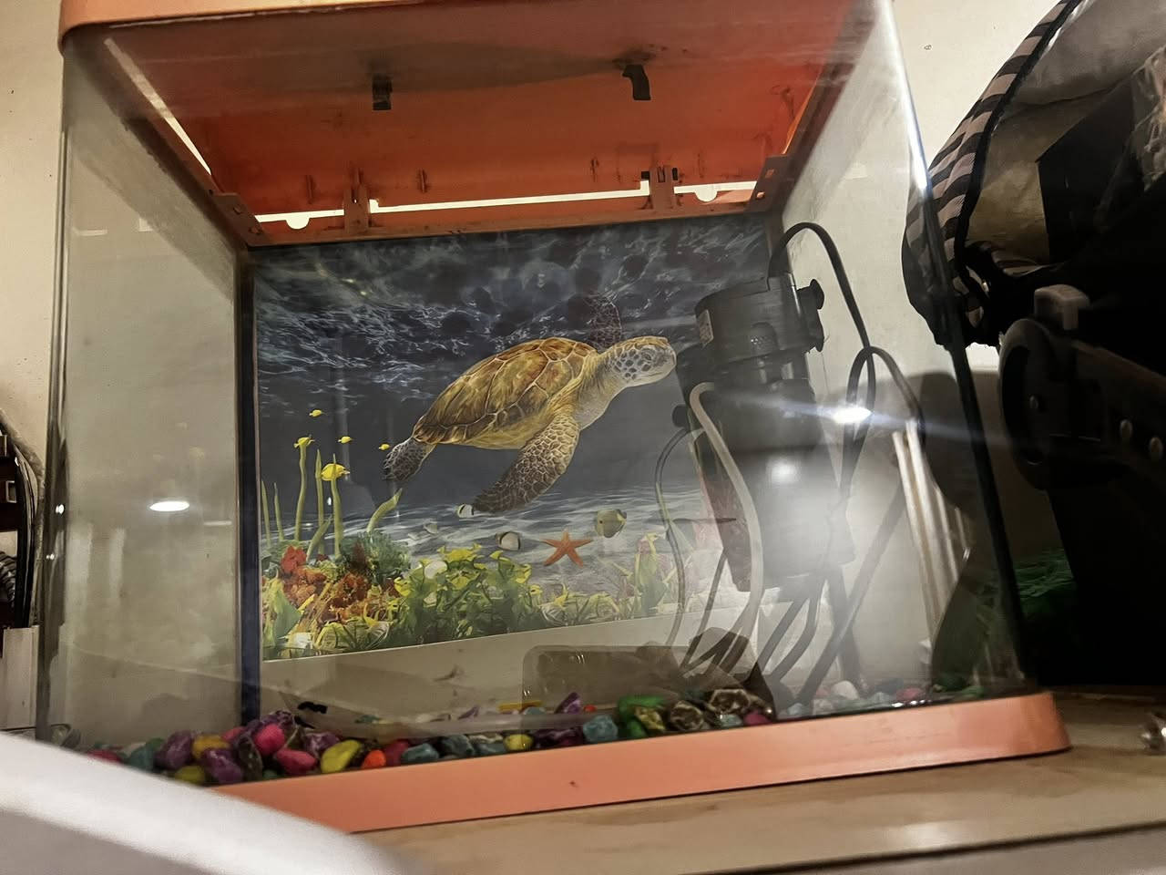 لبيع بغداد حي العامل قيم واخذ


**إذا كنت صاحب هذا الإعلان وتريد حذفه لأي سبب، رجاءا أرسل رسالة إلى الدعم الفني**