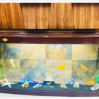 حوض اسماك للبيع   طول  : 2 متر عرض : 0.5 متر ارتفاع : 1 متر  السعر : م...