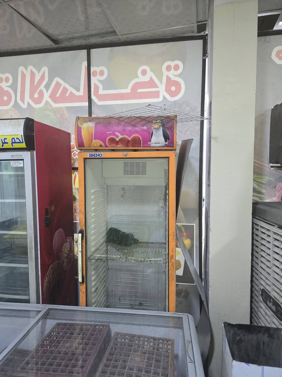 السلام عليكم عارضات للبيع 
   ***********
العنوان بغداد 
عارضه طرحيه  ٣ متر 
عارضه طرحيه ٢ متر 
عارضه تبريد لحوم نقص جامه  أماميه فقط
٢ عارضات تبريد
شلع ب٢ مليون

