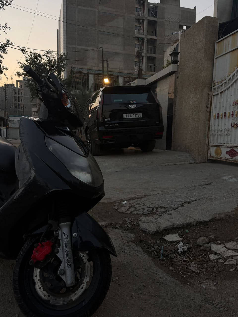 دراجة سكنس فحل نوزل اخت الجديده قبل شكم شهر نزلته من الرمبه للبيع السعر خاص او الاتصال ***********
