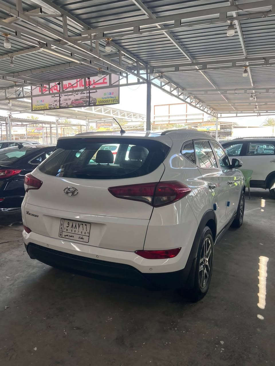 توسان موديل 17 كفاله عامه من الصبغ والتبديل والفتح والبارد خليجي محرك كيرتبريد صدر حداديه كله بحاله جيده مناقصه شي محرك 2000 دوش اخوان سونارات 2 بلمنشور شوفه واقتنع وخابرني 
مكاني بغداد اليوسفيه ناحيه الرشيد 
السعر 186 بيه مجال 
***********
