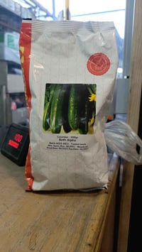 🌱 🌿 متوفر بذور خيار Beth Alpha  هولندي– وزن 1 كغم (بذور معالجة) اشتركو...