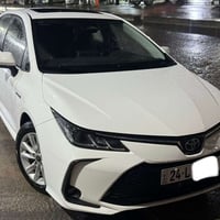 كورولا هايبريد • ٢٠٢٤ • مرقم دهوك