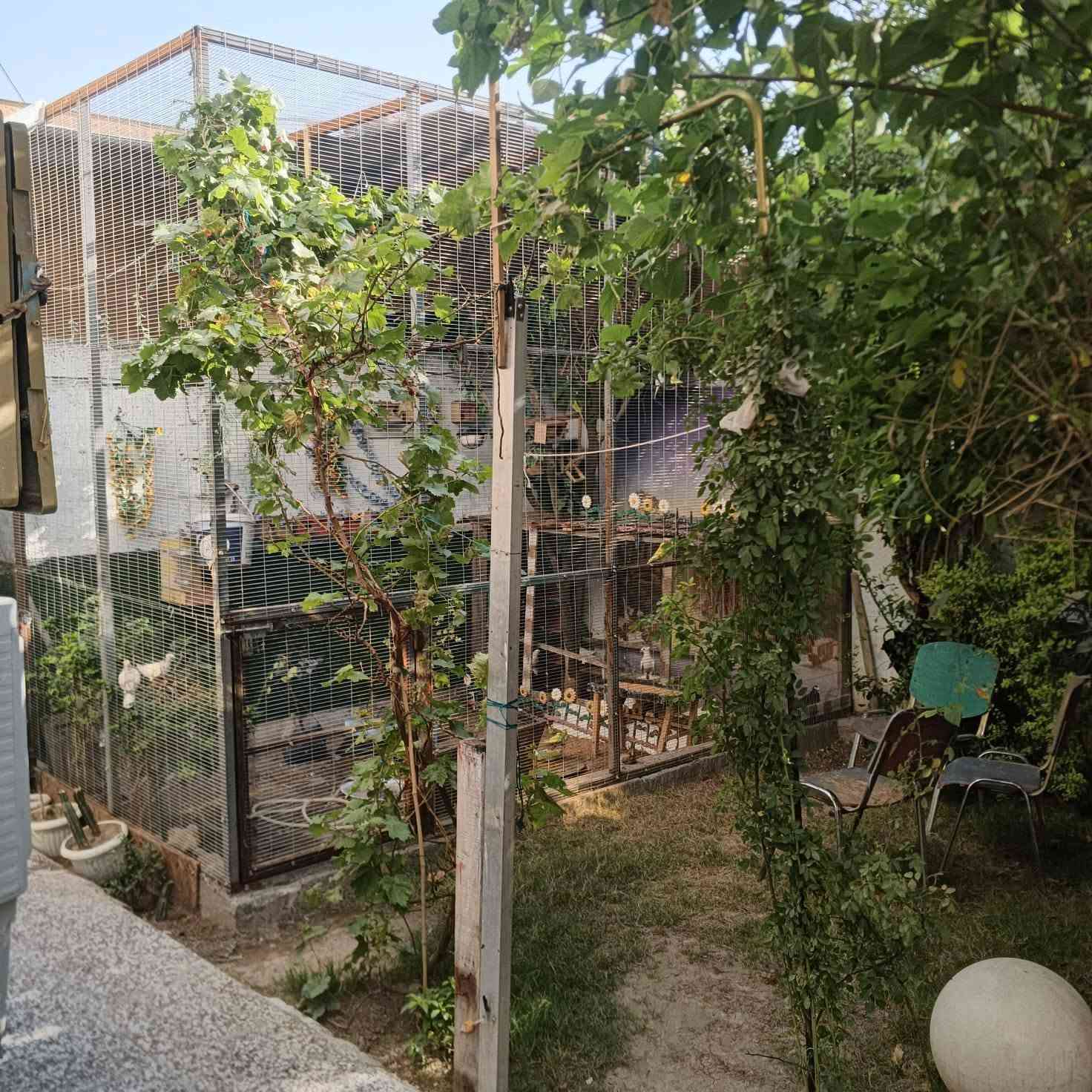 بيت طابو زراعي سند 25 بستان علاي مساحه 250 طابق ارضي ستقبال ومطبخ وصاله 2غرف نوم وصحيات وطابق الثاني 3 غرف نوم وصحيات رقم الهاتف *********** يطل على منطقتين سعر خاص
