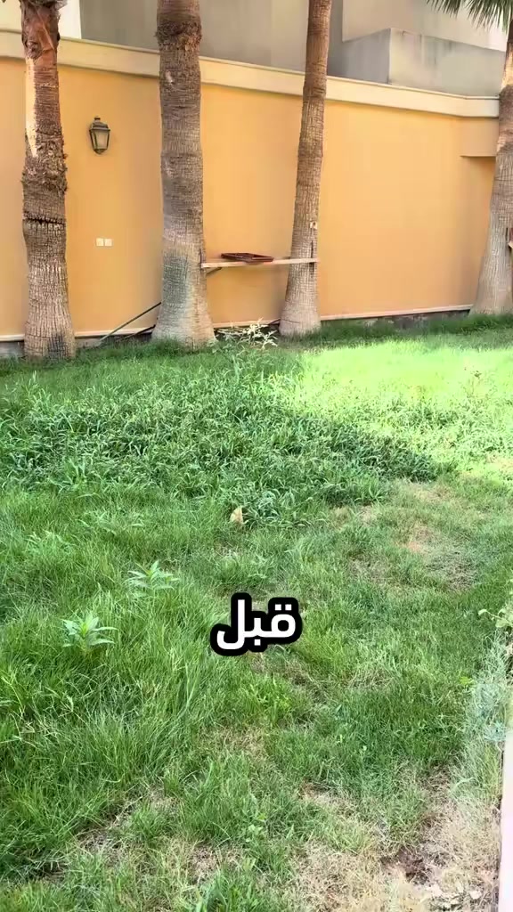 عملنا هاذا اليوم ..
 لعمل الحدايق العامه والمنزليه اشتغل  وزرع تنضيف حدايق ترتيب قص ثيل مع ستوته نقل مخلفات.   والرزق على الله كل ماعليك مراسلت الصفحه او الاتصال ***********
