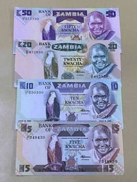 سيت زامبيا