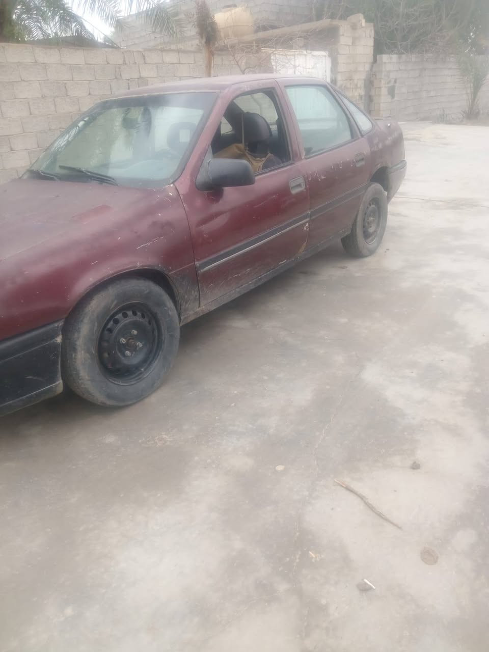 الاتصال ***********
عنواني ديالى بعقوبه ناحية العباره 
اوبل فكترااا موديل 1990
السعر 17
