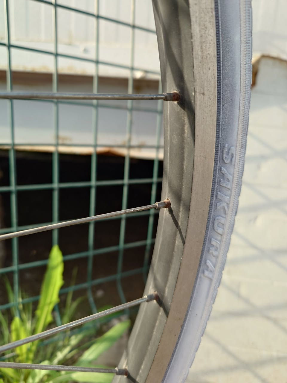 السلام عليكم
بايسكل حجم 27 فريم عالي حجم كبير
نضافة جدا عالية مال بالة ياباني اصلي
ختومات على جميع القطع
ويل اسود
لايت ثلجي LED حساس
داينمو امامي
كير 6 سرعات
سيباية عريضة
السستم شيمانو sis
البايسكل نضيف ماعتقد تحصل هيج ترتيب ونضافة اقل من 200 الف بلوقت الحالي

السعر 150 الف دينار 
واتساب ***********
