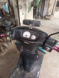 فراشه • نضيفه • بابل الحمزة الغربي