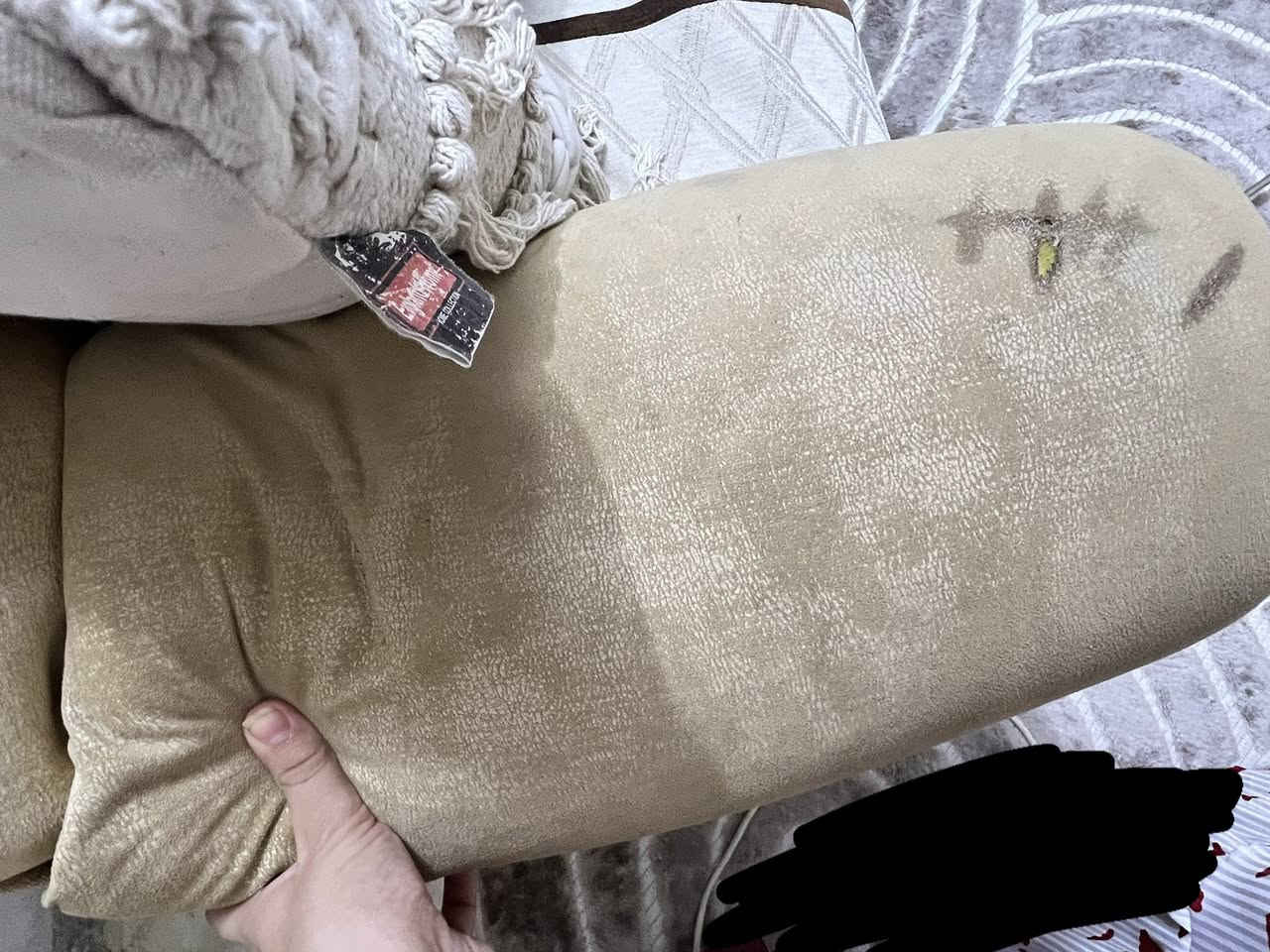 عشر مقاعد  وب 100


**إذا كنت صاحب هذا الإعلان وتريد حذفه لأي سبب، رجاءا أرسل رسالة إلى الدعم الفني**