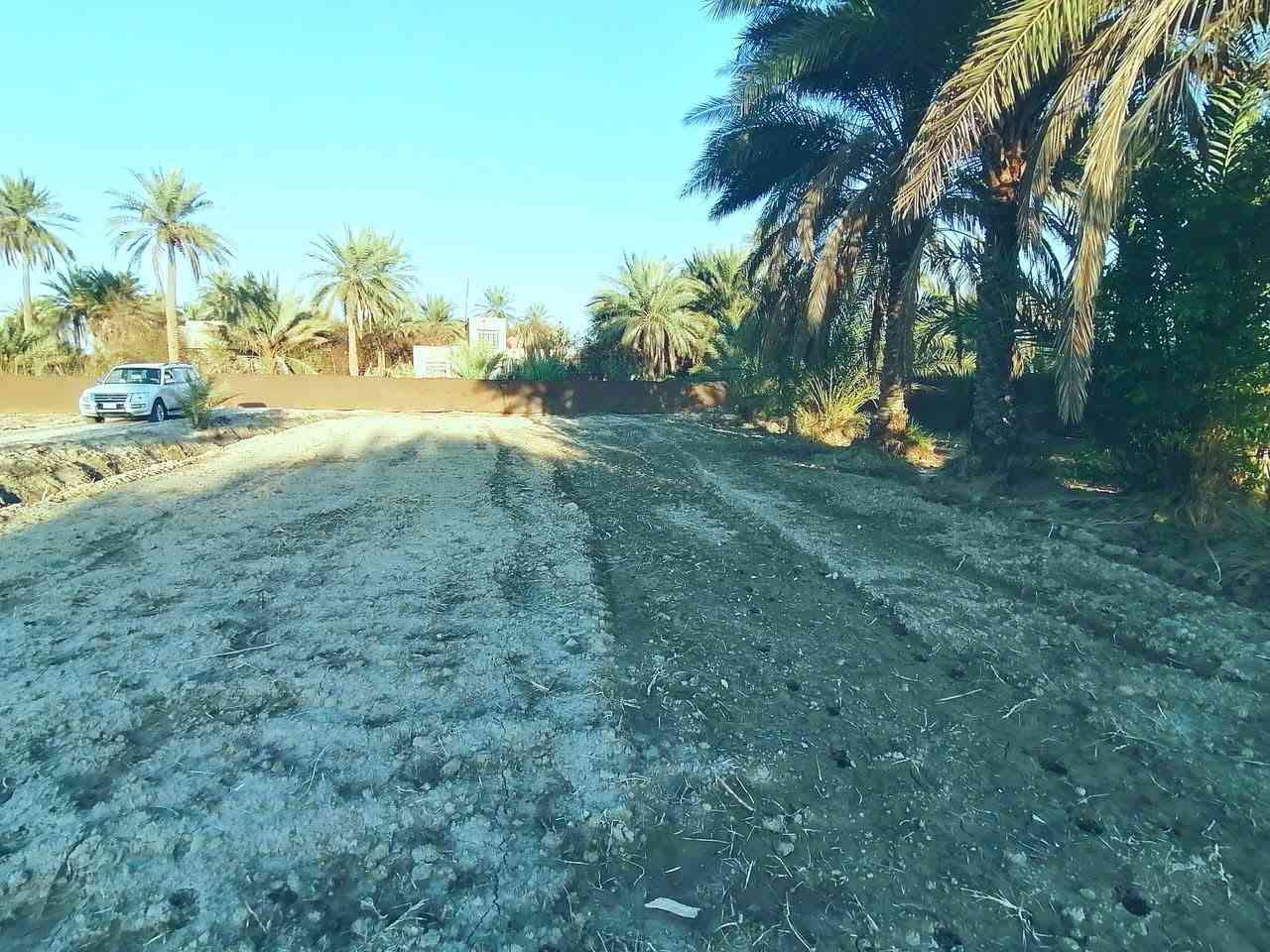 السلام عليكم دونم للبيع المكان محافظة كربلاء المقدسة الابراهيمية طريق حله كربلاء يبعد عن الشارع العام كيلو يتكون من بيت بناء حديث ٣٠٠متر بيت بداخل الدونم صاله واستقبال طول ١٢ متر واربع غرف صحبات داخليه خارجية وخمس غرف نوم بناء حديث السعر خاص
مكلف بالنشر


**إذا كنت صاحب هذا الإعلان وتريد حذفه لأي سبب، رجاءا أرسل رسالة إلى الدعم الفني**
