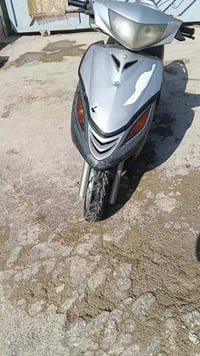 ماكس ثعلب • نضيفه • سلف