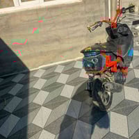 ماكس • بوشه 49 • كنعان