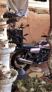 لاتي 23 اصل سنويه مشروع وطني 557
مكانها تكريت دراجه وكاله شرط برغي ممفتوح بيها 

***********
