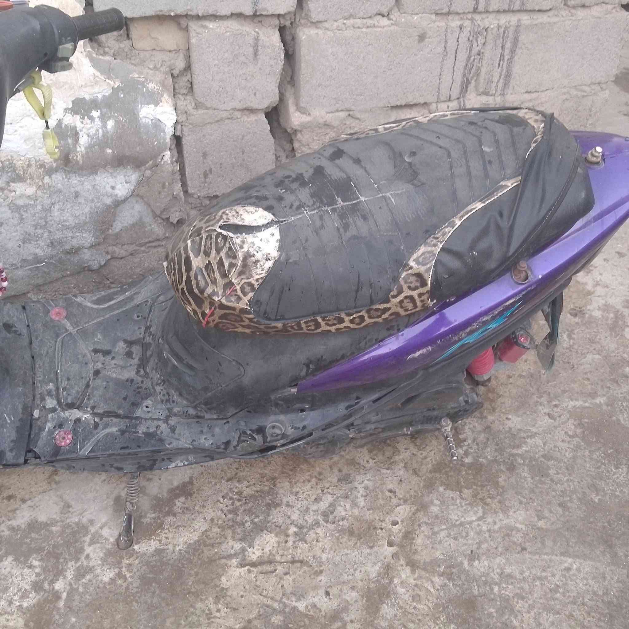 دراجه نضيفه ماكس عدله مكينه نضيفه السعر 500وبيه مجال حك الجيه  عنوان كرمه علي رقم موبايل ***********

