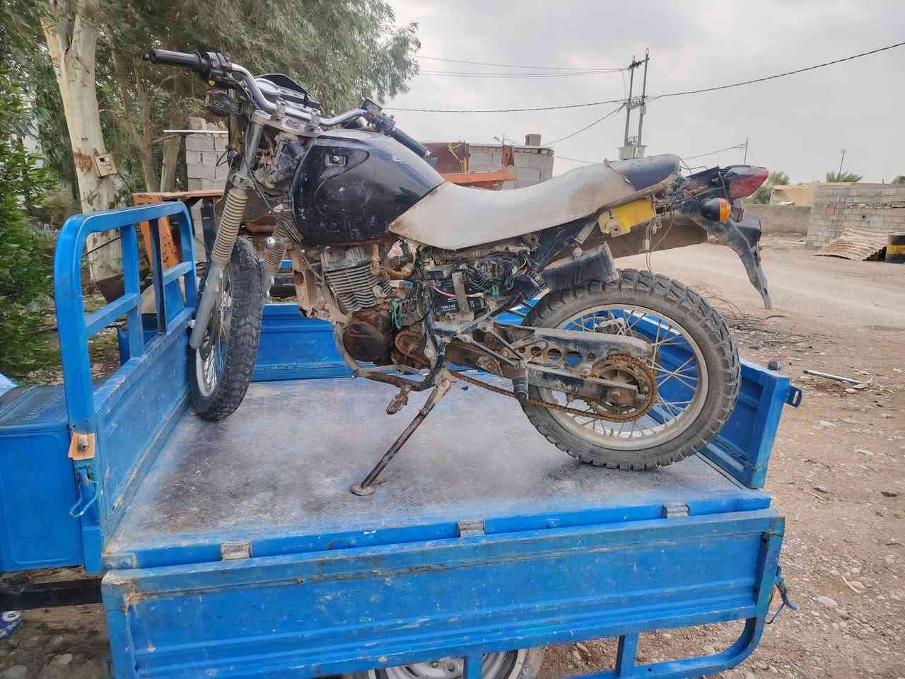 قفاز صيني تفصيخ للبيع
أوراق ***********
