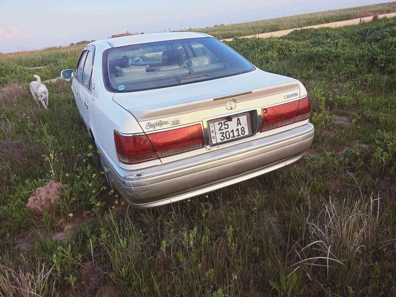 سلام عليكم ملكه للبيع 2003بسمي تلث دكم مكفوله من الضربه والكص ونقل الجثه مكاني كربلاء السعر 140مكينه ديفور الصغير استفسار ***********
