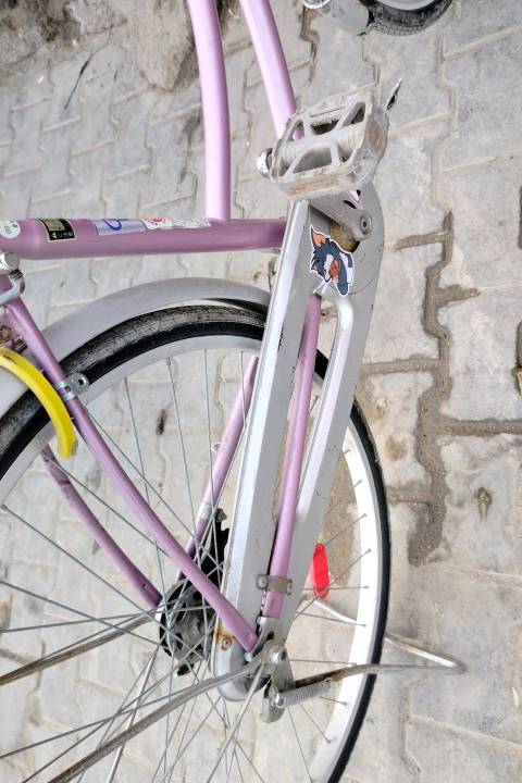 البصره قضاء المدينة 